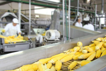 Food Processing Machine